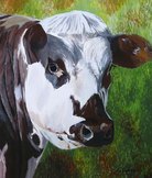 Vache