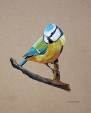 M&eacute;sange