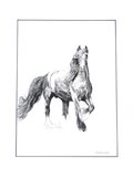 Cheval