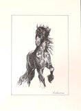 Frison3